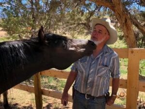 man with horse with log fence